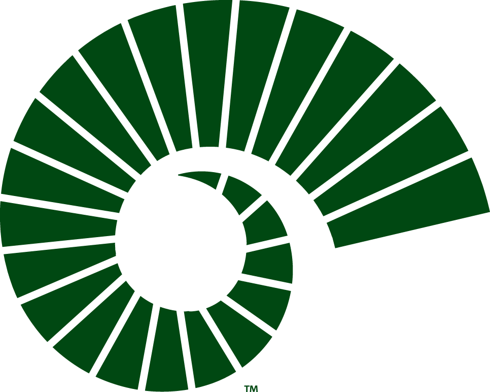 Colorado State Rams 2015-Pres Alternate Logo 13 vinyl decal